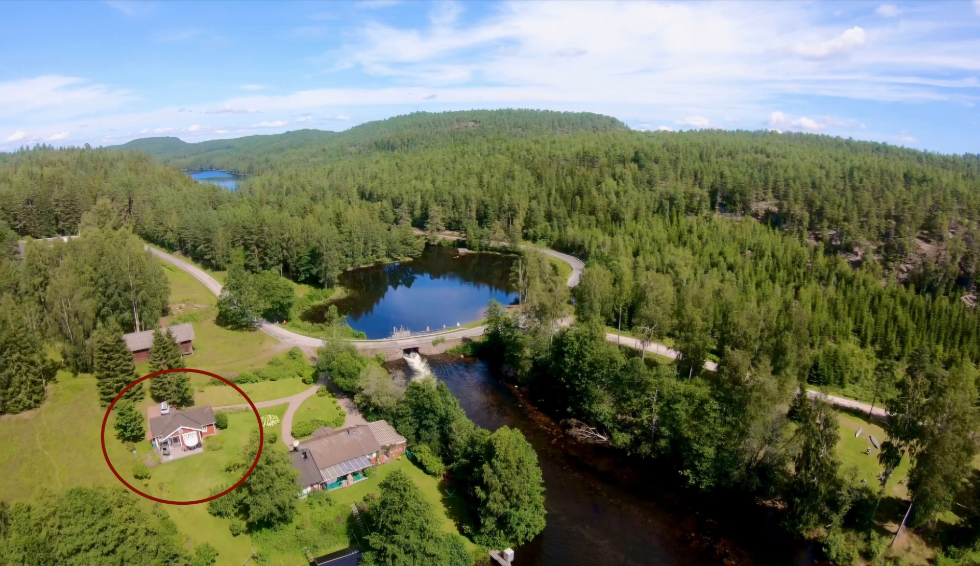 Schwedische Natur und Wald