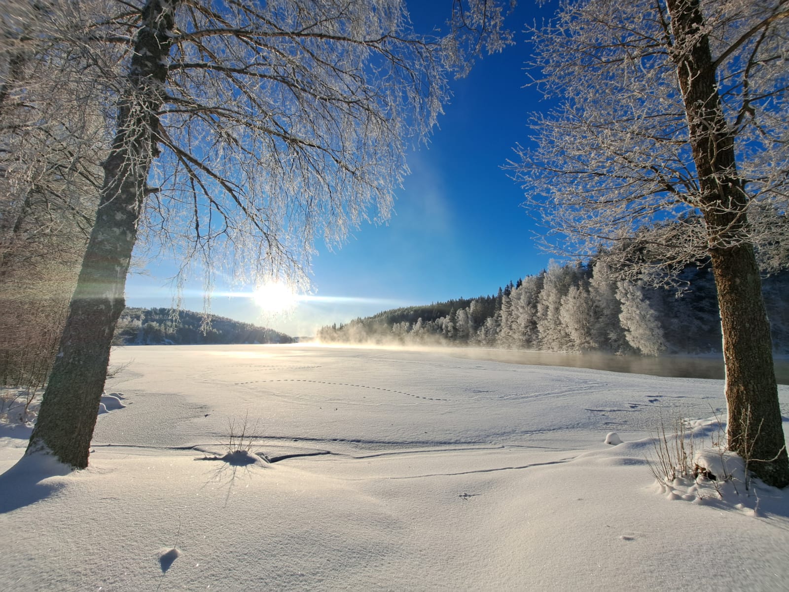 Schweden-landschaft-im-wimter